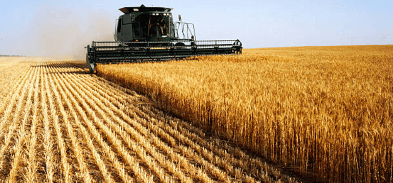 food-shortage-in-America